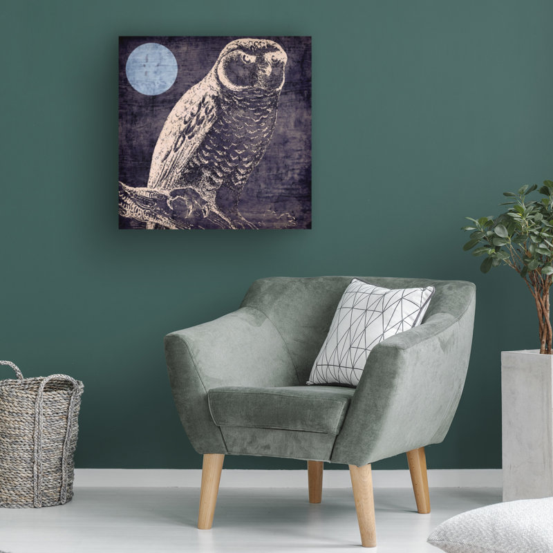Bolog Sasha Owl 1 Canvas Art, 14" H x 14" W