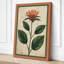 Study Botanical - Wrapped Canvas-131762711-131762718