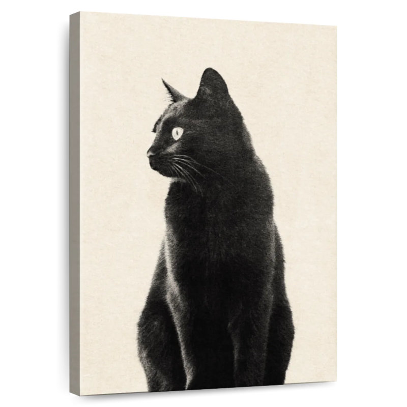 Chat noir Brampt beige, H 36 po x l 24 po