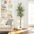 73.62 " H Faux Olive Tree Plant
