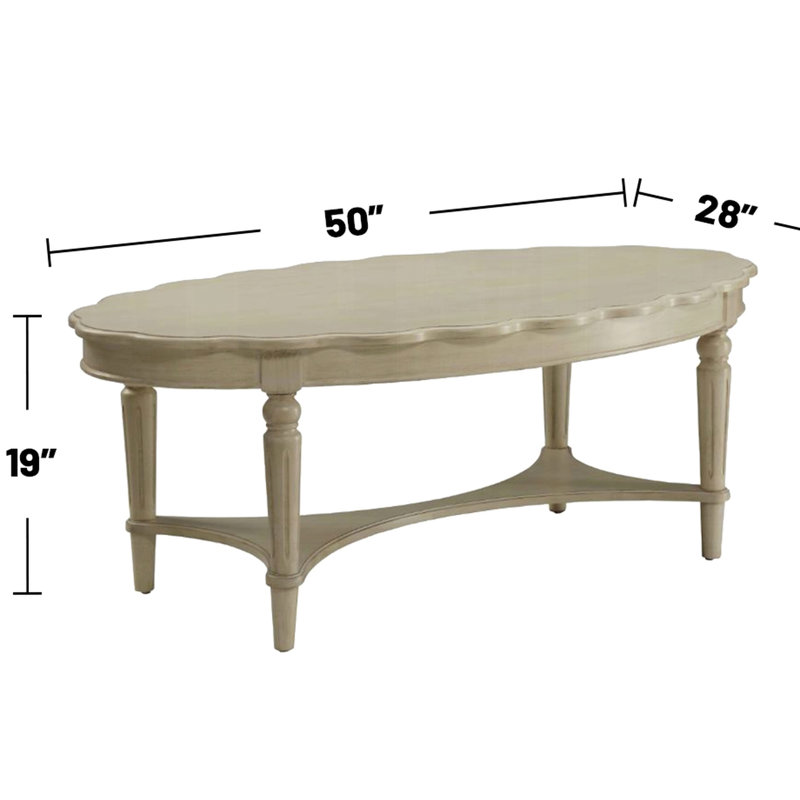Table basse à plateau ovale de style français, blanc antique, rangement ouvert, pieds en bois massif pour espace de vie principal avec design, pieds, pièce principale convenable