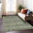 Machine Washable Indoor/Outdoor Claudian ACN1644 Olive Rug-109535975