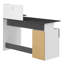 Cato Writing Desk
