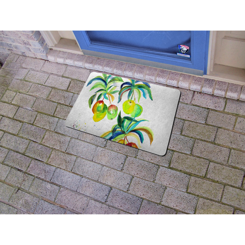 Paillasson intérieur / extérieur Shisler Mangos, l 18 po x L 26 po