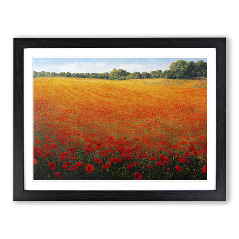 XH1022-9212X Tremendous Poppies Flowers - Single Picture Frame Painting, 46cm H x 64cm W x 2cm D, Black