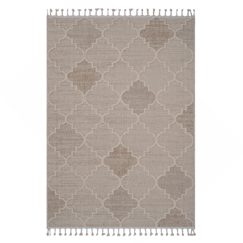Collection 5X7 Indoor / Outdoor Area Rug, Rectangle 5'3" x 7'6"