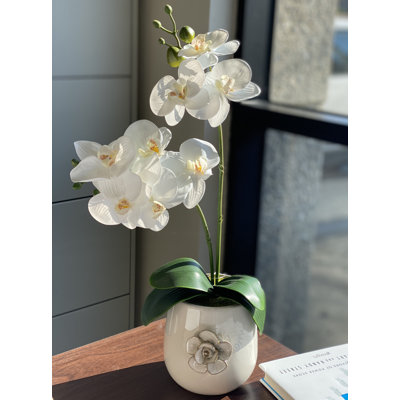 15.5 " Faux Orchid in Ceramic Planter