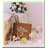 Golden Celebration Balloon Garland Kit - 120 Pcs Black, Gold, White