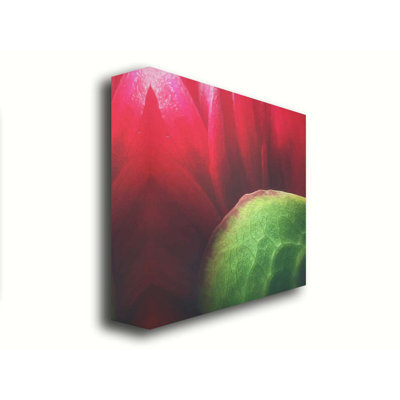Macro Red Petals par Hal Halli. Toile giclée sur toile tendue avec cadre flottant
