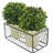 9 " H Faux Boxwood Topiary in Plastic Basket