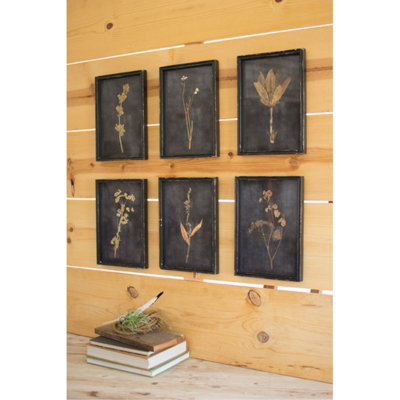  Botanical Prints Under Glass 14"H – Distressed Black Wood Frame Farmhouse Wall Decor (Set of 6)