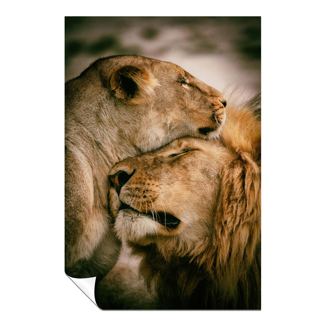 Panther Print Fine Art Prints Lion & Lioness Affection Wildlife Artistic Unframed Poster, Pictures For Home Walls, Bedroom, Living Room & Bathroom Dec