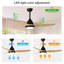 Ceiling Fan with LED Lights