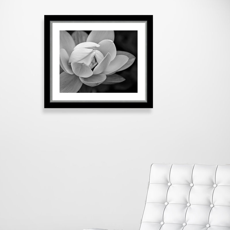 Arriya «Lily Close-Up I», impression encadrée