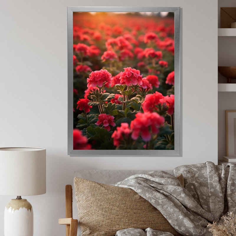 Photo Og Geraniums Field II sur toile, H 20 po x l 12 po x P 1 po, Cadre simple argenté