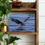 Bald Eagle Water Landing Contemporary Bird Eagle Nature Wildlife Wall Art Print 1 Piece Wrapped Canvas Wall Art-71000707