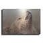 «Big Bear 1» par Karen Smith-618405063