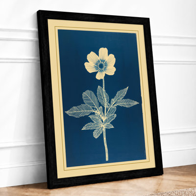 Classical Study Botanical - Framed Print
