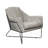 Recie Lounge Chair With Toughened Iron Frame-153846231