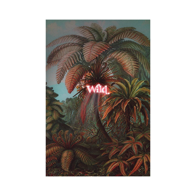 Wild by Jonas Loose - Wrapped Canvas Print, 30.48cm H x 20.32cm W