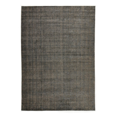 Briar Area Rug in Gray