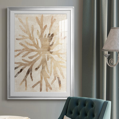 " Parchment Coral II "