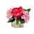Rose foncé