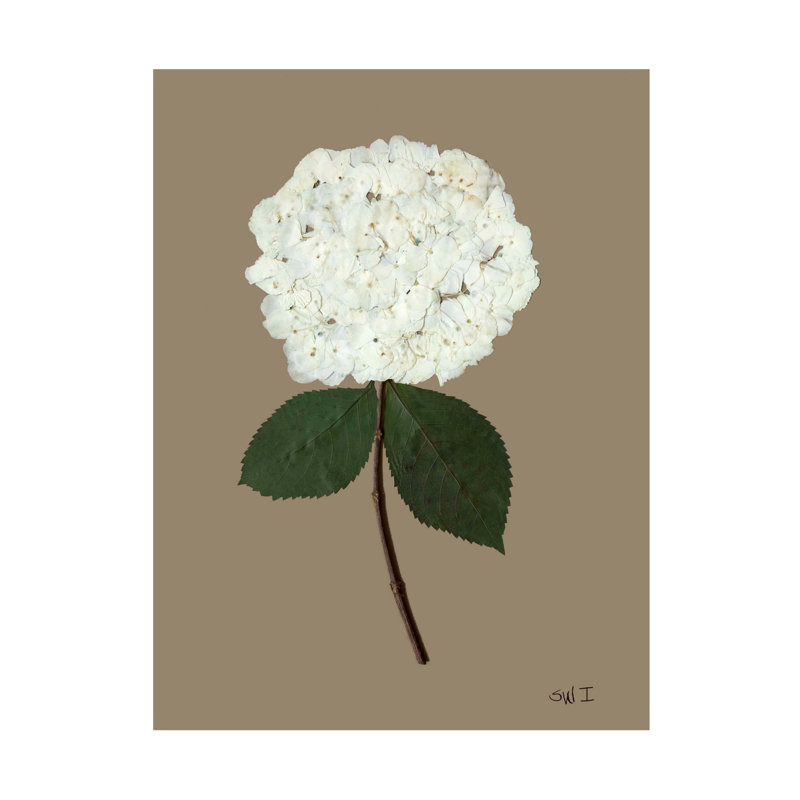 Pressed Hydrangea Set by Sandy Whitaker, Antique Gold, 42.5" H x 34.5" W