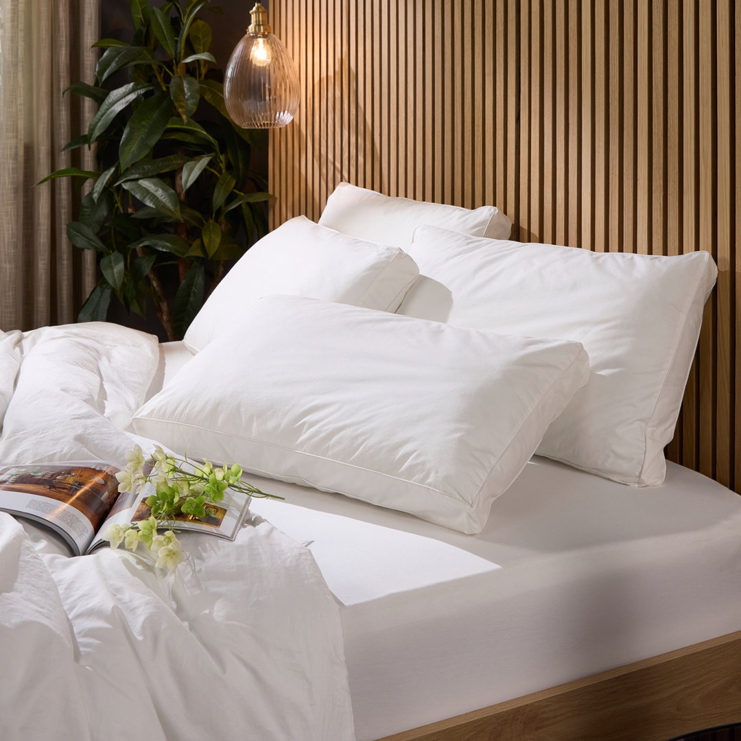 Luxurious Hotel Snuggledown Back Sleeper Medium Support Cotton Cover Pillow