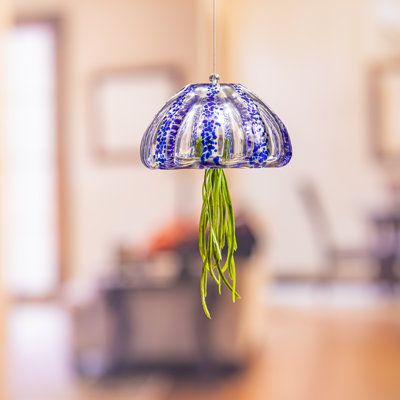 Rubaab Glass Hanging Planter