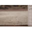 Distressed Wool Traditional Area Rug 6x9