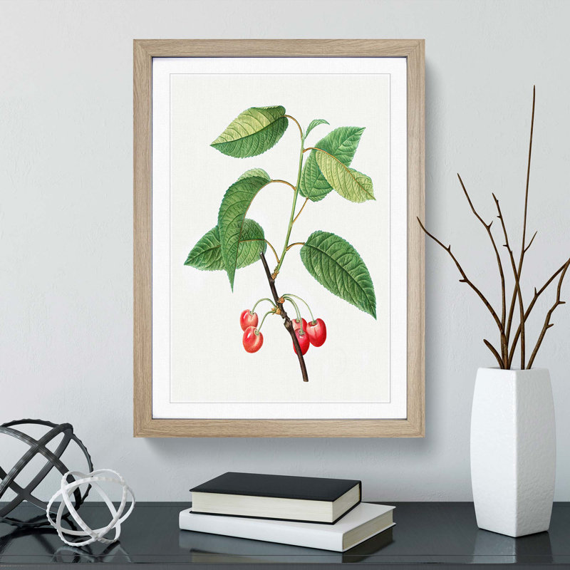Cherry Tree by Pierre-Joseph Redoute - Picture Frame Painting Print, 65cm H x 48cm W x 2cm D, Oak Framed