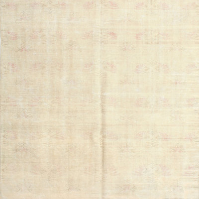 Oriental Indoor Rug