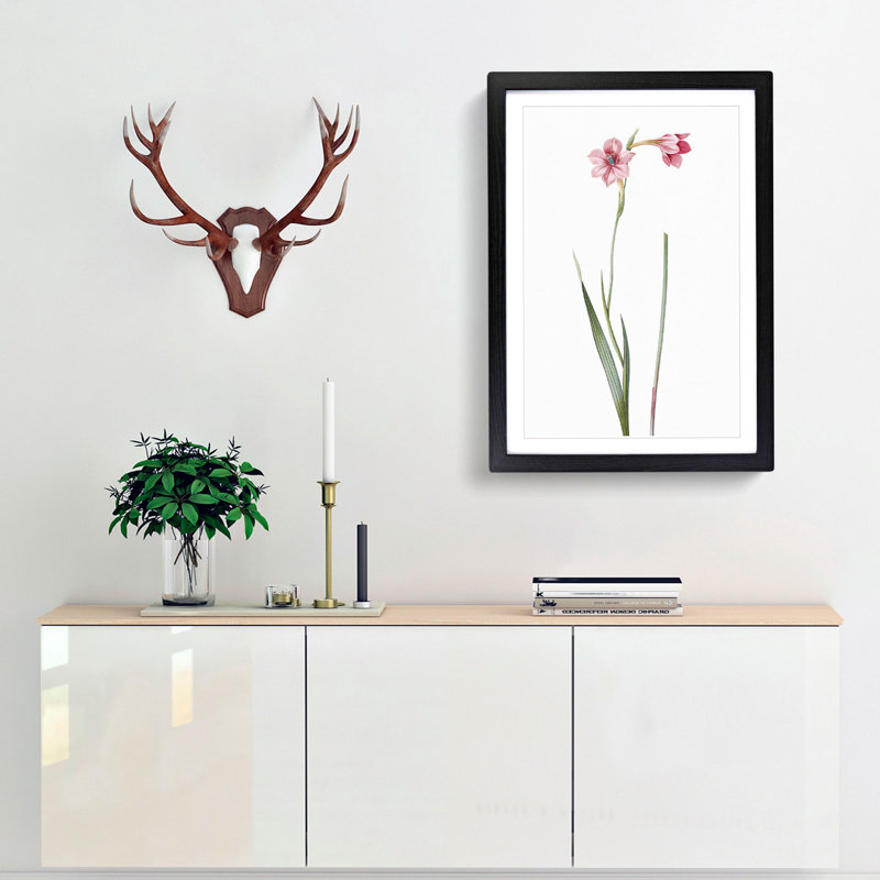 Pink Sword Lily by Pierre-Joseph Redoute - Picture Frame Painting Print, 65cm H x 48cm W x 2cm D, Black Framed