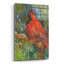 Art mural en verre perché «Cardinal perché» par Annelein Beukenkamp-1337348096