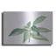 «Sage I» par Chris Paschke-927220566