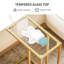 Glass Top End Table