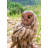 Animals Weather Resistant Water Resistant UV Resistant Polyresin Garden Statue