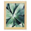 Vert succulent tropical vert III-173666790-173666785