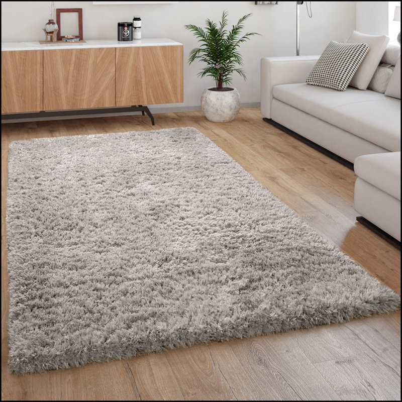 Bruss Area Rug, Rectangle 60 x 90cm
