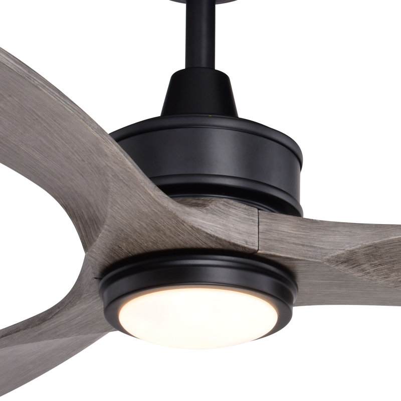 Ballog 52'' Ceiling Fan with LED Lights, White
