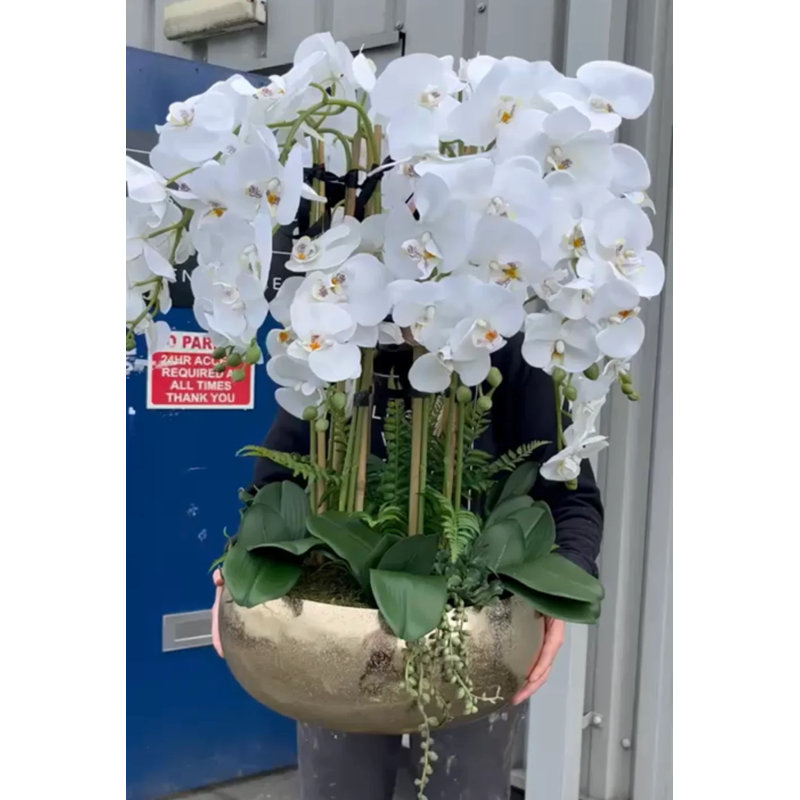Orchid Arrangement in Vase, White