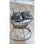 Lit pour animaux Kishmar