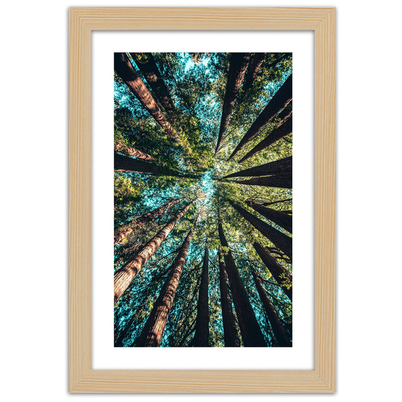 The Branches Of The Tall Trees - Single Picture Frame Print, Light Brown, 100cm H x 70cm W