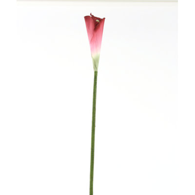 Lillies Arrangement