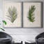 Palm Botanical I - ensemble de 2 photographies sur toile-1425392437-1350425249-1425392431
