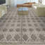 Geometric Area Rug
