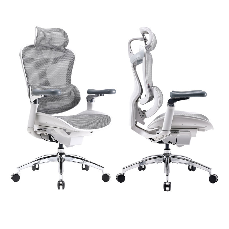 Doro C300P Ergonomic Office Chair, Big and Tall Desk Chair, Computer Chair with 6D Armrests, White, Gray