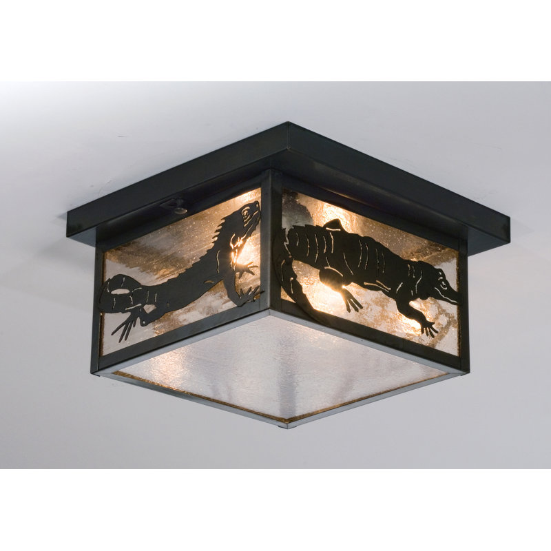 2 - Light Flush Mount, Clear/Black