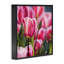 «Pink Tulips Garden», estampe numérique par Raquel Roth-108619765-108619766